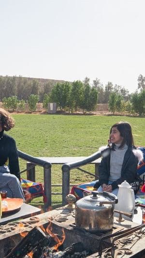 واحة الأحساء