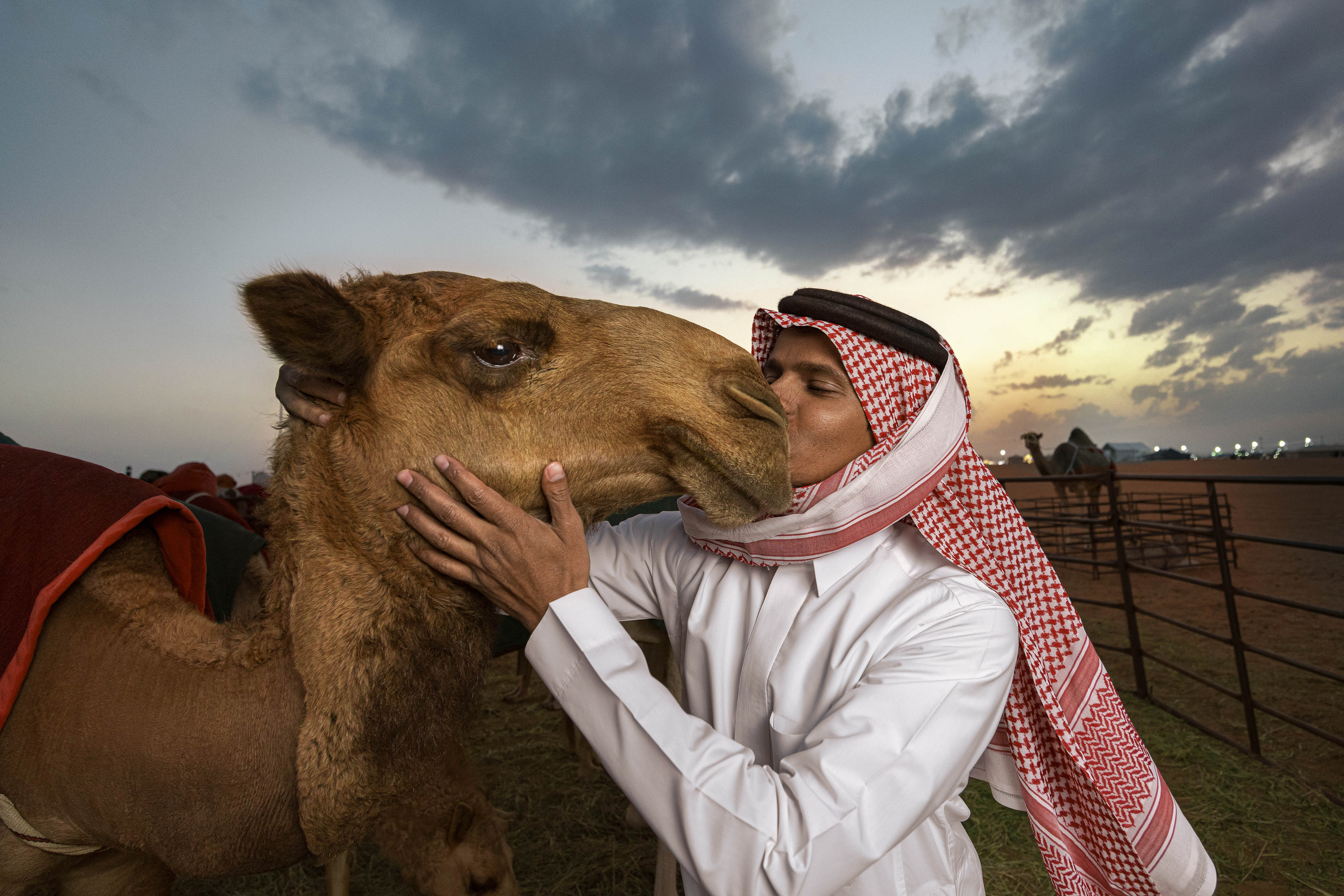 معرض الصور 4
