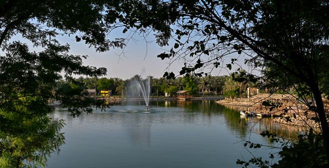 معرض الصور 4